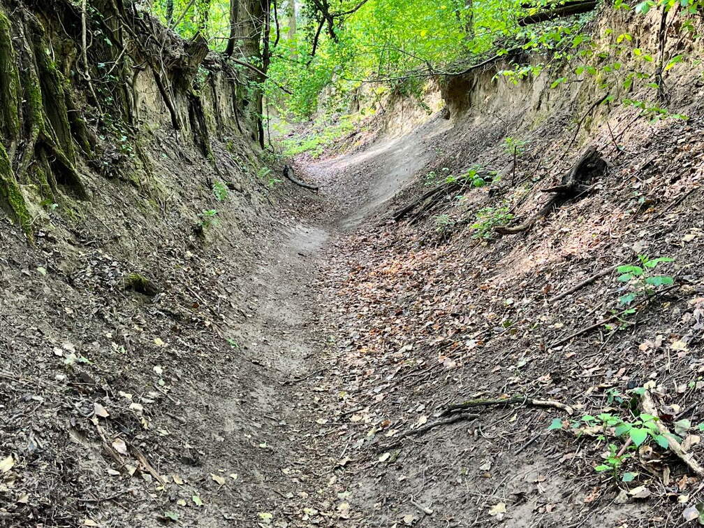 22-04-25 11-20-33 0616